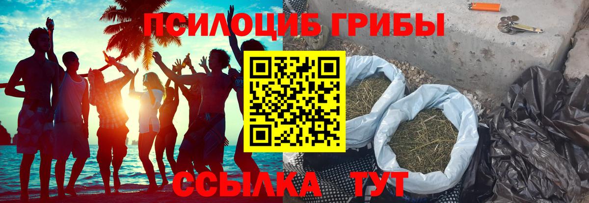 Псилоцибиновые грибы Psilocybine cubensis Мыски