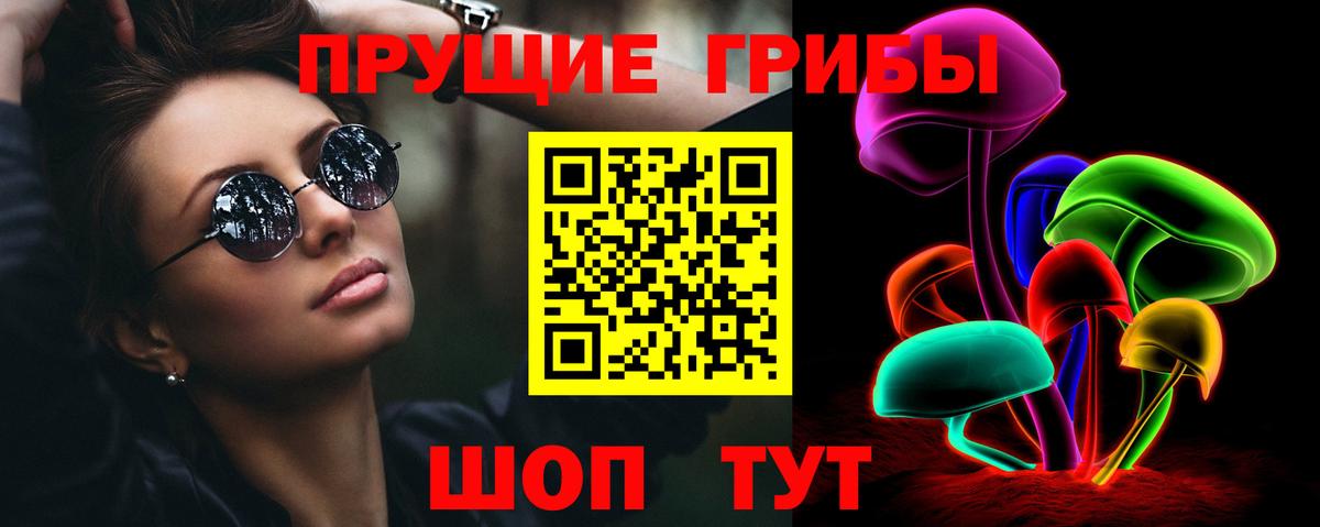 Псилоцибиновые грибы Cubensis  Галлюциногенные грибы мицелий  Вход с VPN  Мыски 